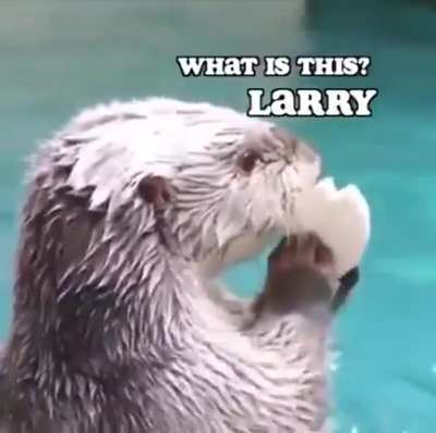 Otter.exe