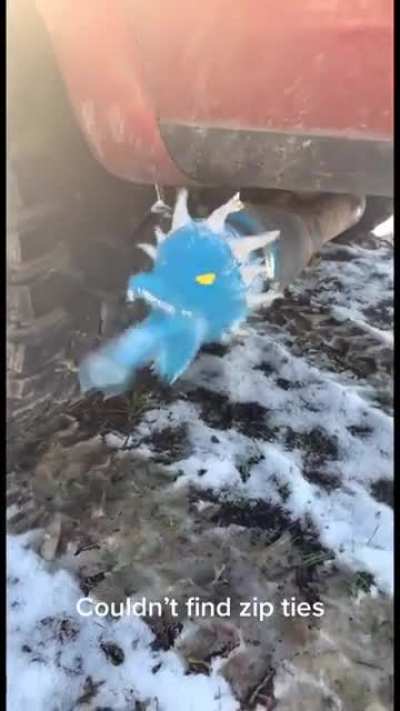 Maw