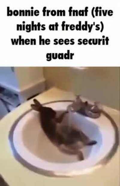 fanf jumpscare