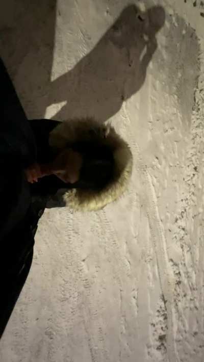 Enjoying the snow
