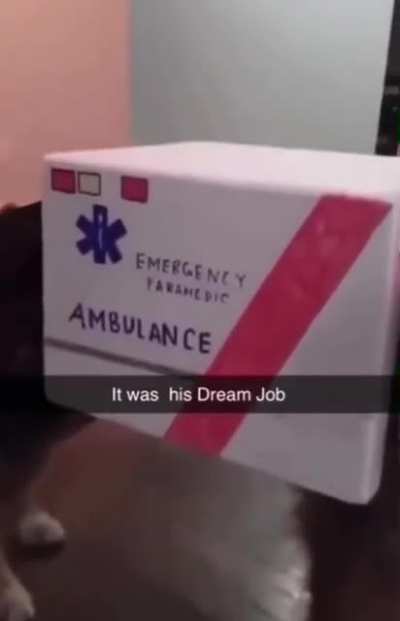 Everyone hands dream job
