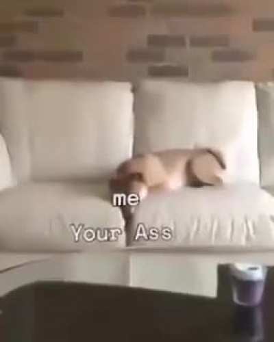 gay🍑irl