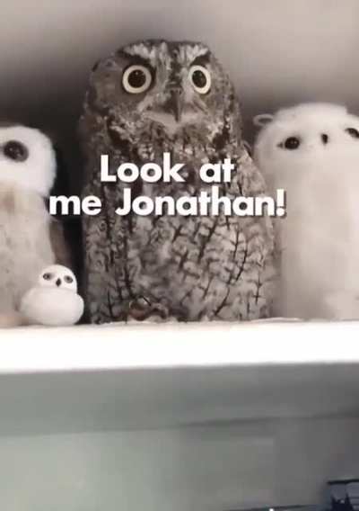 Am I a joke to you?