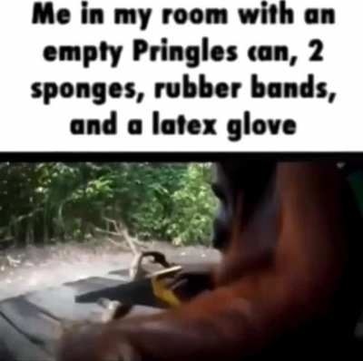 rule
