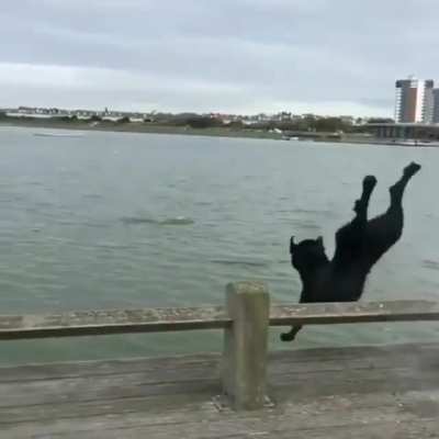 HMK while I jump into the lake.