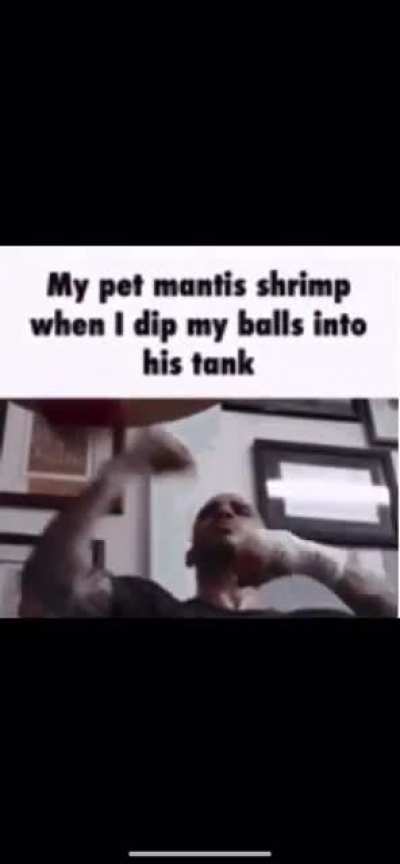 balls