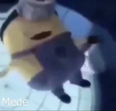 shitposting - Video #5481