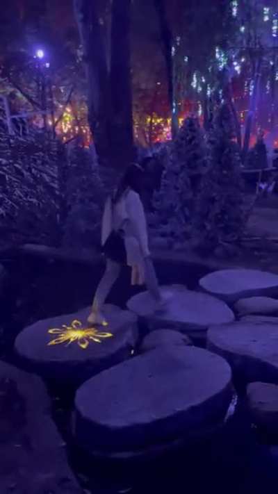 Magical Christmas bridge