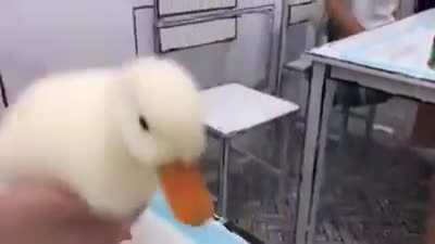 I’ve never wanted to eat a big ball of dough until now...