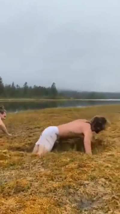 Bog shenanigans