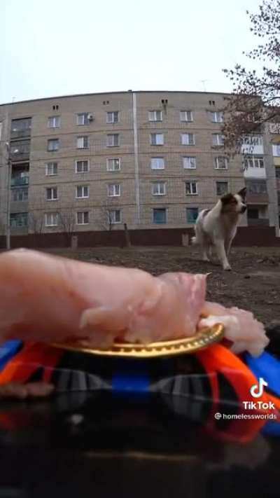 I think this belongs here..