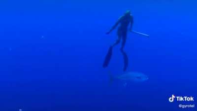 There’s always a bigger fish