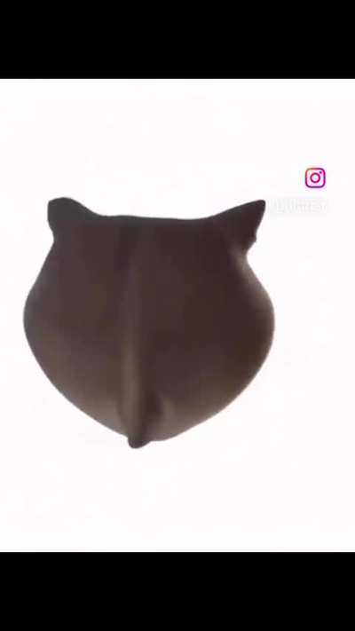 Spin