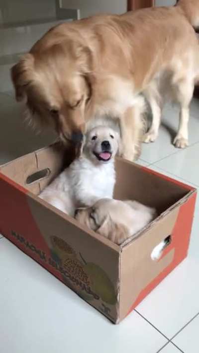 Warm welcome