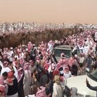 Few camels