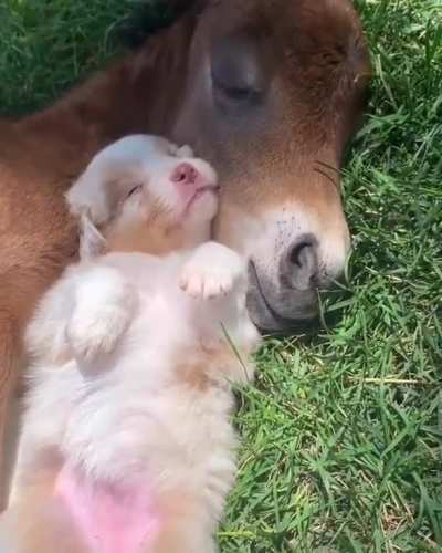 Beautiful Little Things