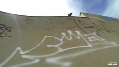 He was a skater cat