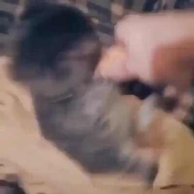 Illojuaner agarrándose a un pene