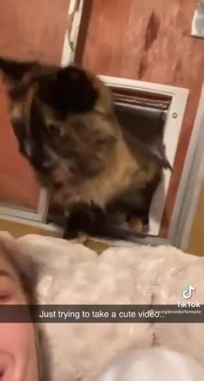 She wanted to make a cute video
