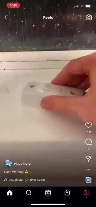 The hands
