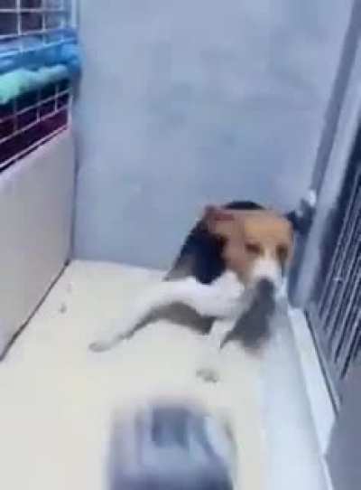 图解战狼