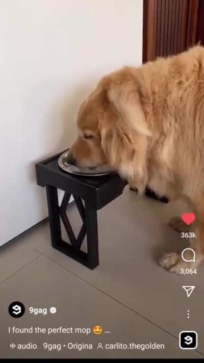 Mopping the floor
