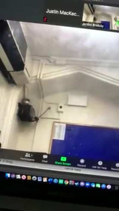 My teachers computer blew up (set on fire on zoom)
