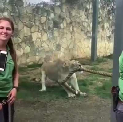 Men Vs Beast