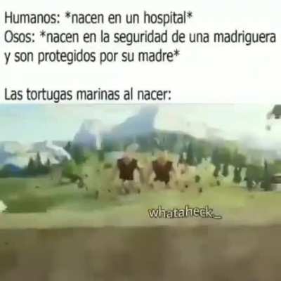 .__.