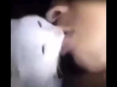 He did the cat