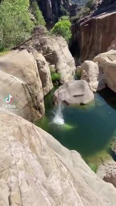 Backflip