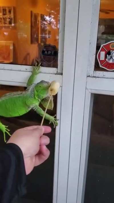 Do you want a banana?