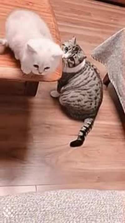 A helping hand