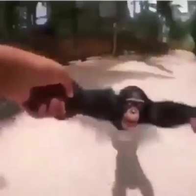 monke