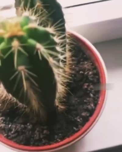 Возме<wbr>здие