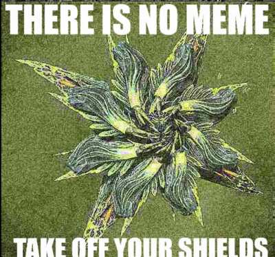 meme