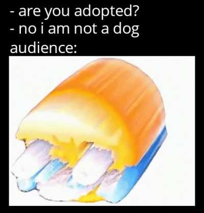 sitcoms be like