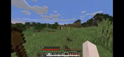 That the enderman