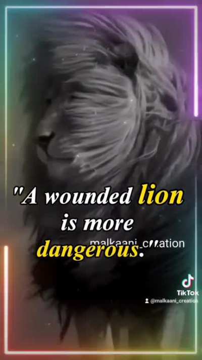 A wounded lion is more dangerous.
