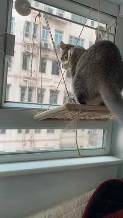 Neighbourhood watch duty is being taken very seriously