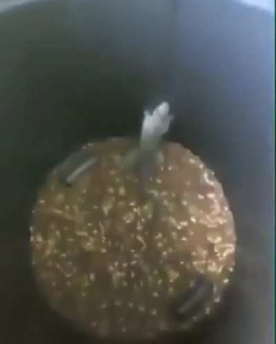 Climber mouse