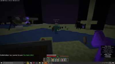 Running from an Enderman be like