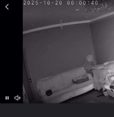 Weird Appereance on our Home Camera system (Tapo)