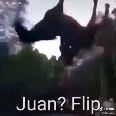 Flipante