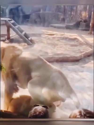 title gya trainer ko pakadne
