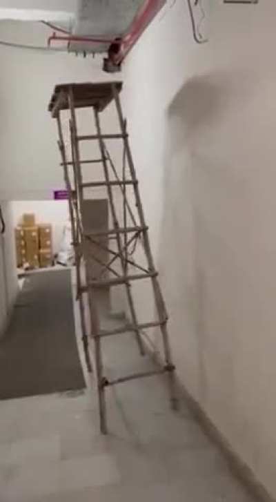My ladder people need me