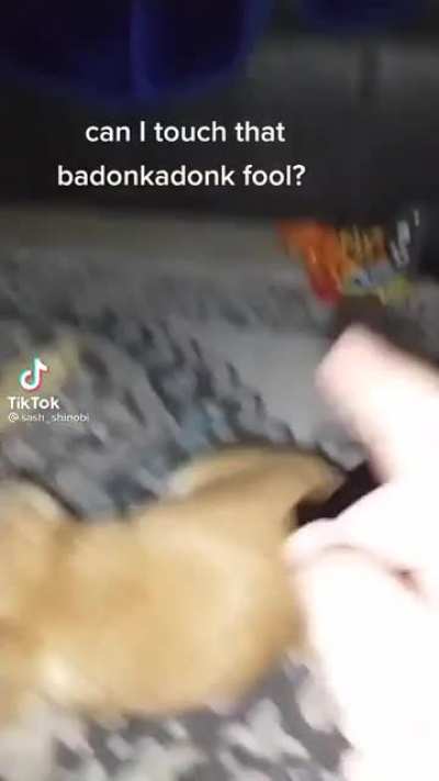 Badobkidonk Fool