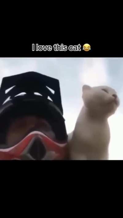 noo-