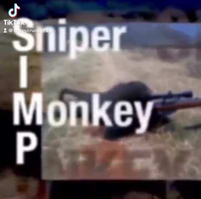 Rest In Peace monke