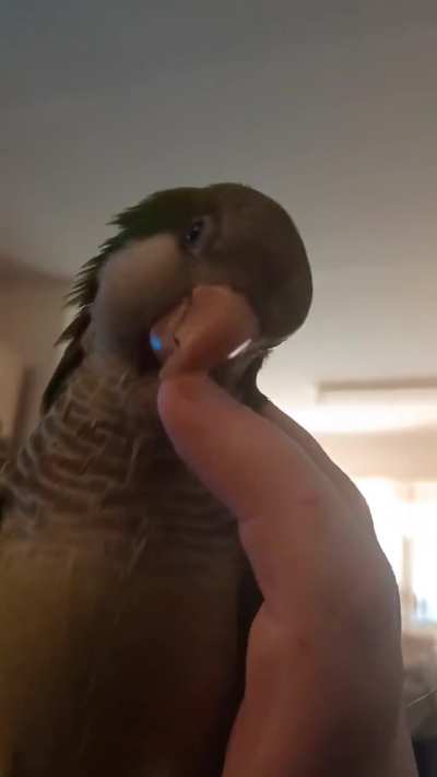 Head shake 